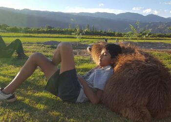 En Andalhuala, Catamarca, los Lagoria producen nueces y muestran bellos lugares a los turistas guiados por una llama