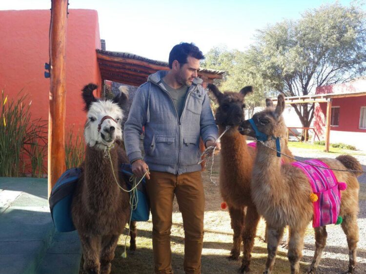 En Andalhuala, Catamarca, los Lagoria producen nueces y muestran bellos lugares a los turistas guiados por una llama