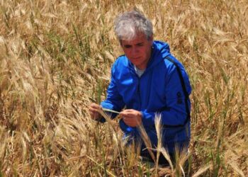 “Propongo redefinir el concepto de fungicida”, dice Marcelo Carmona, muy preocupado por la creciente resistencia de los hongos a los tratamientos