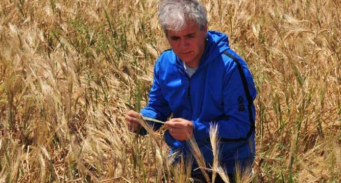 “Propongo redefinir el concepto de fungicida”, dice Marcelo Carmona, muy preocupado por la creciente resistencia de los hongos a los tratamientos