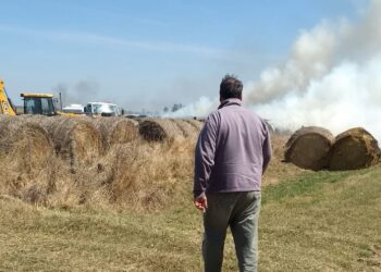 Todas las formas del vandalismo rural: En tres meses, a Javier Mondino le quemaron rollos, le faenaron animales y le rompieron silobolsas
