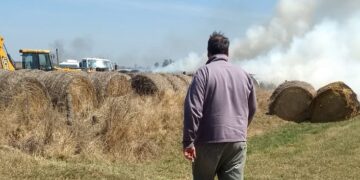 Todas las formas del vandalismo rural: En tres meses, a Javier Mondino le quemaron rollos, le faenaron animales y le rompieron silobolsas