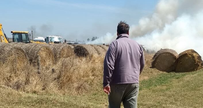 Todas las formas del vandalismo rural: En tres meses, a Javier Mondino le quemaron rollos, le faenaron animales y le rompieron silobolsas