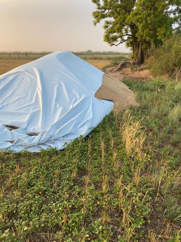 Todas las formas del vandalismo rural: En tres meses, a Javier Mondino le quemaron rollos, le faenaron animales y le rompieron silobolsas