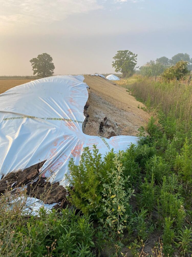 Todas las formas del vandalismo rural: En tres meses, a Javier Mondino le quemaron rollos, le faenaron animales y le rompieron silobolsas