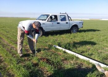 Los estudios de Alejandra, un informe del INTA y la necesidad de comenzar a estudiar la relación de los cultivos con las napas