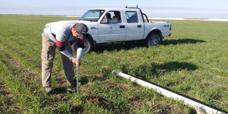 Los estudios de Alejandra, un informe del INTA y la necesidad de comenzar a estudiar la relación de los cultivos con las napas