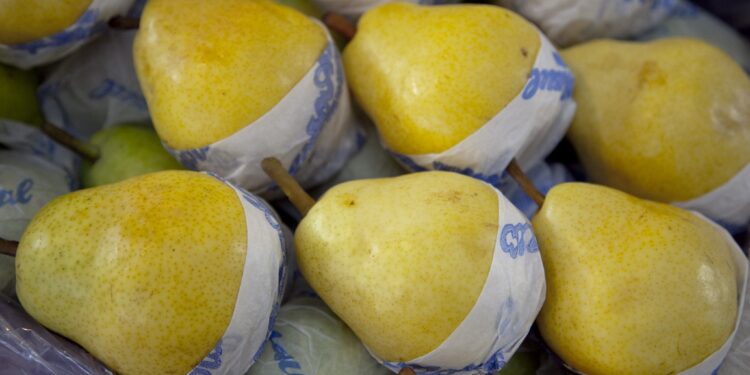 Pandemia mediante, la exportación de fruta fresca creció un 6% respecto al 2019