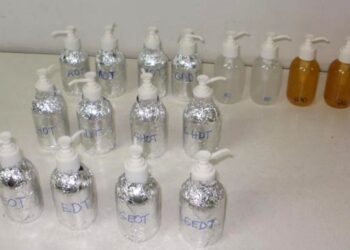 Todas las propiedades del propóleo: Desarrollan con ese subproducto apícola una pomada para tratar infecciones en la piel