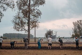 Tratando de dejar atrás el affaire Grabois, el gobierno amaga retomar sus planes para repartir tierras fiscales