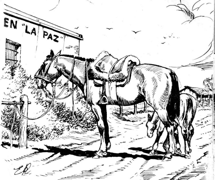 Reeditan una obra clave de Enrique Rapela, uno de los grandes ilustradores del gaucho y sus paisajes