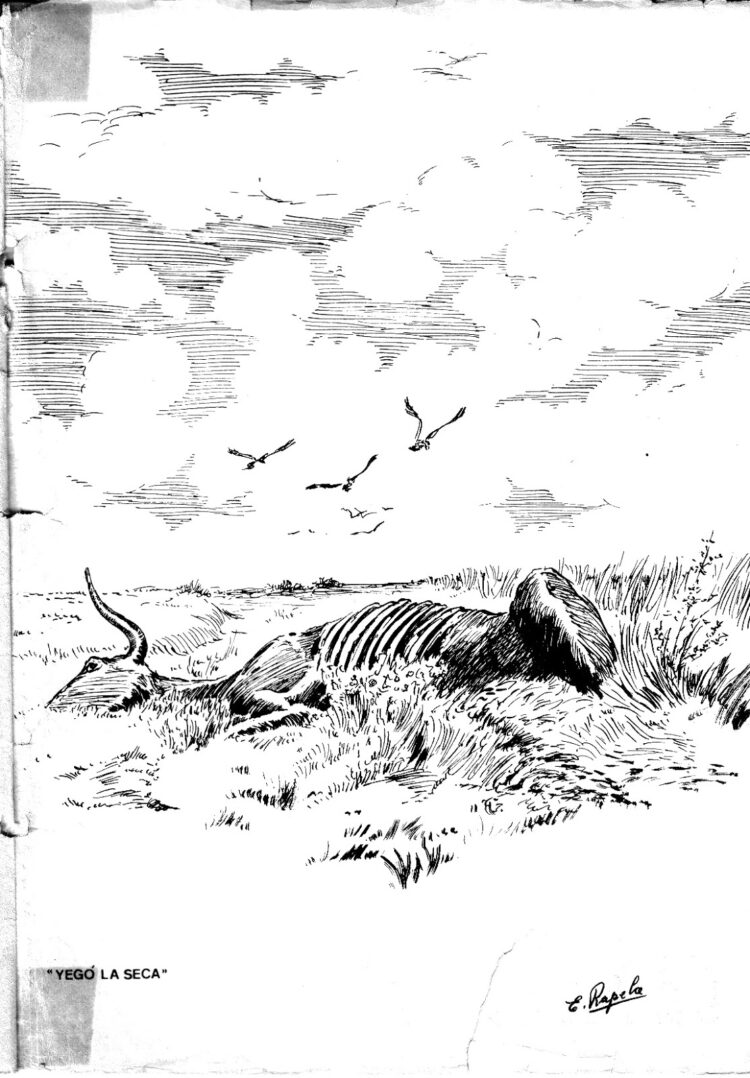 Reeditan una obra clave de Enrique Rapela, uno de los grandes ilustradores del gaucho y sus paisajes