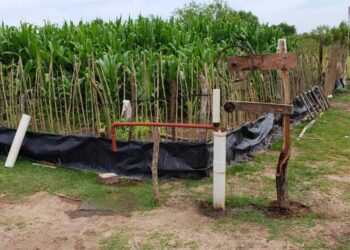 Crónicas Robadas: La historia de Rodrigo, el chico de Villaguay que quiere ser agrónomo y diseñó su propio sistema para extraer agua para la huerta familiar