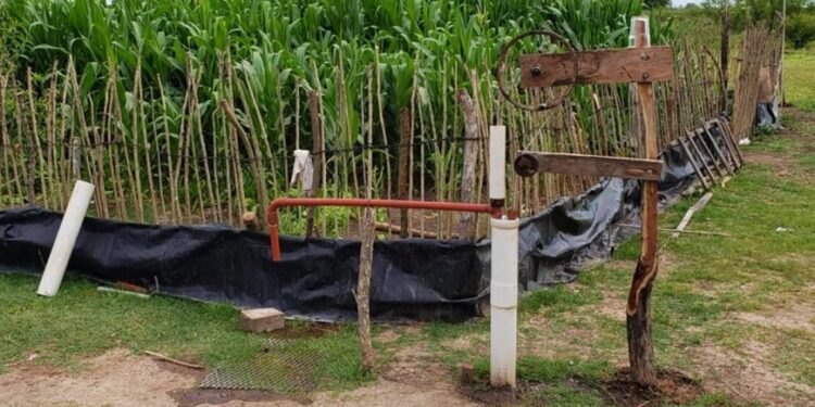 Crónicas Robadas: La historia de Rodrigo, el chico de Villaguay que quiere ser agrónomo y diseñó su propio sistema para extraer agua para la huerta familiar