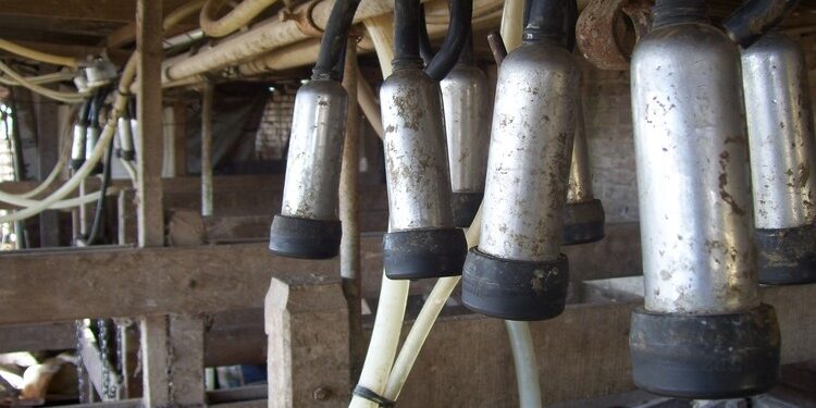 Con mucho apoyo oficial, la UTT planea instalar una fabrica láctea para 40 tambos familiares en San Vicente