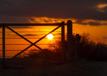 Tranqueras con número: En Provincia de Buenos Aires quieren georreferenciar a todos los establecimientos rurales