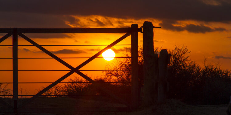 Tranqueras con número: En Provincia de Buenos Aires quieren georreferenciar a todos los establecimientos rurales