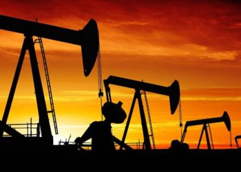 Durísimo comunicado de las Pymes del biodiésel: Acusan al gobierno de “violar” la ley y bajar la cabeza frente al sector petrolero