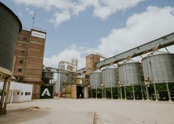 AgroEmpresas: San Miguel crece en energías limpias, Bioceres invierte en La Ballenera y Afamac tiene nueva presidenta
