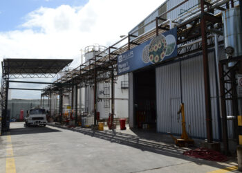 Uruguay: Comité de Expertos recomienda eliminar el corte del 5% con biodiesel o dejar de producir el biocombustible para importarlo