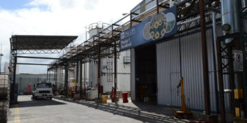 Uruguay: Comité de Expertos recomienda eliminar el corte del 5% con biodiesel o dejar de producir el biocombustible para importarlo
