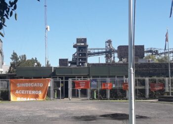 Comprá tranquilo que a veces cumplimos: El principal exportador mundial de harina de soja va por el treceavo día sin poder realizar embarques