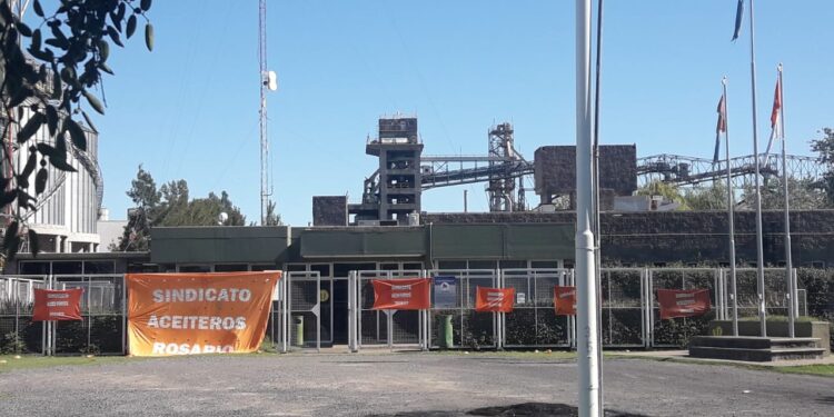 Comprá tranquilo que a veces cumplimos: El principal exportador mundial de harina de soja va por el treceavo día sin poder realizar embarques