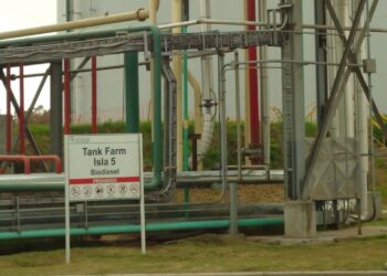 Implosionó la producción argentina de biodiésel para registrar el nivel más bajo de la historia