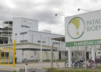 Claudio Molina: “Abandonar la política de biocombustibles en la Argentina representará un error histórico cuyo costo será enorme”