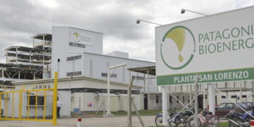Claudio Molina: “Abandonar la política de biocombustibles en la Argentina representará un error histórico cuyo costo será enorme”