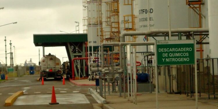 Claudio Molina: “Abandonar la política de biocombustibles en la Argentina representará un error histórico cuyo costo será enorme”