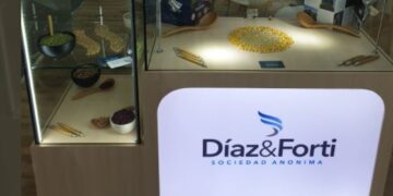 Sin “animosidad”: ¿Cuáles fueron las razones del Estado para suspender a Díaz & Forti?
