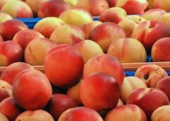 Argentina insólita: se usaron divisas para importar durazno chino a pesar de que el producto no escasea en el mercado interno