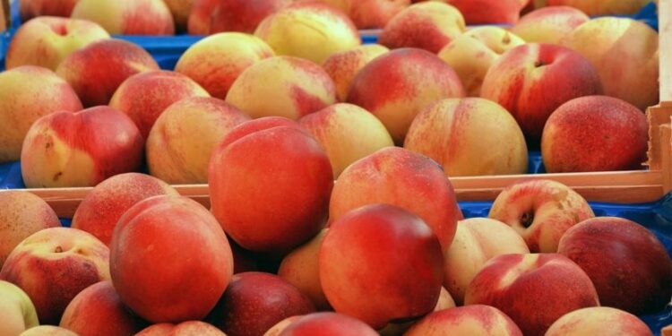 Argentina insólita: se usaron divisas para importar durazno chino a pesar de que el producto no escasea en el mercado interno