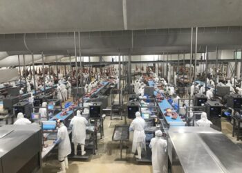 Un cuento chino: Científicos argentinos determinan que la probabilidad de que un embarque de carne exportada llegue a destino con Covid-19 es de una en 100.000 millones