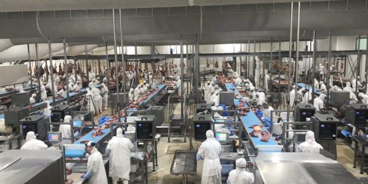 Un cuento chino: Científicos argentinos determinan que la probabilidad de que un embarque de carne exportada llegue a destino con Covid-19 es de una en 100.000 millones