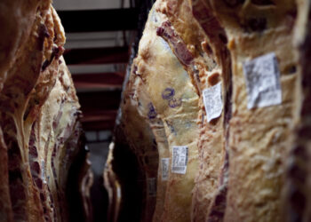 Investigación: Descubrimos a los responsables del aumento de los precios de la carne