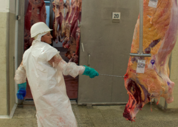 José María Romero sobre el mercado de carne vacuna: “No está en el gobierno la intención de intervenir”