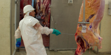José María Romero sobre el mercado de carne vacuna: “No está en el gobierno la intención de intervenir”