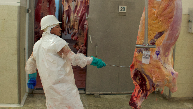 José María Romero sobre el mercado de carne vacuna: “No está en el gobierno la intención de intervenir”