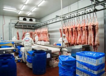 Alerta amarilla en el sector porcino argentino ante la noticia de que autoridades chinas aseguran haber detectado carne con Covid-19