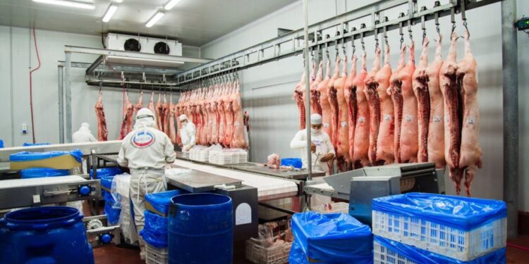 Alerta amarilla en el sector porcino argentino ante la noticia de que autoridades chinas aseguran haber detectado carne con Covid-19