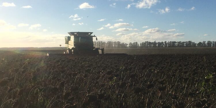 Déjà vu kirchnerista: Vuelve el fideicomiso para subsidiar el precio interno del aceite de girasol