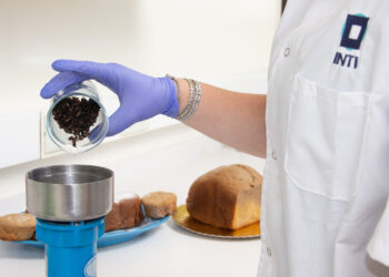 Desafío: ¿Comerías un pan fortificado con harina de grillo?