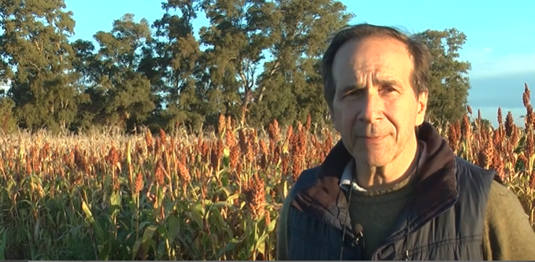 El director del INTA Gral. Villegas quiere un marco normativo que asegure la producción sostenible de maní en Buenos Aires