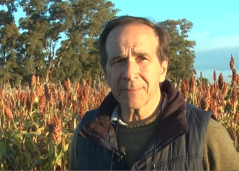 El director del INTA Gral. Villegas quiere un marco normativo que asegure la producción sostenible de maní en Buenos Aires