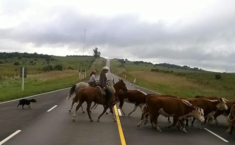 Elizabeth vive en un campo de Uruguay y se siente dichosa: “Estoy orgullosa de haber roto con el prejuicio de que criar un hijo en el campo es coartarlo”