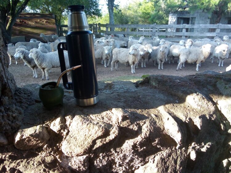 Elizabeth vive en un campo de Uruguay y se siente dichosa: “Estoy orgullosa de haber roto con el prejuicio de que criar un hijo en el campo es coartarlo”
