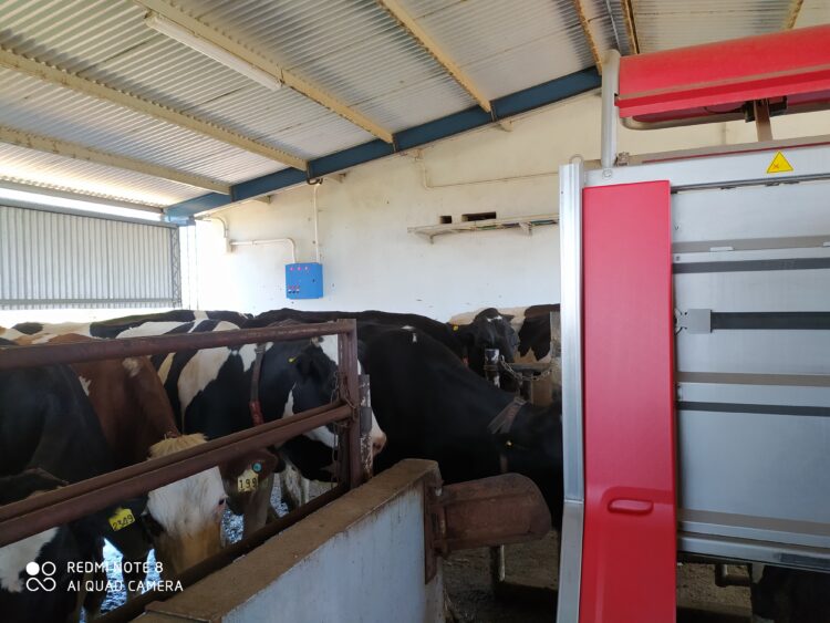 Oscar Chapado conoció todos los sistemas de ordeñe: Pasó del banquito atado a la cintura a montar el segundo tambo robotizado de la Argentina