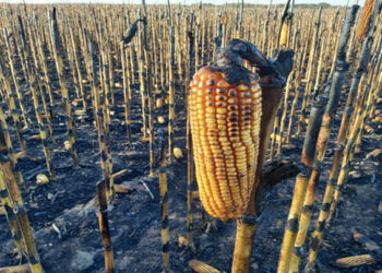 La Comisión de Enlace alerta que el proyecto kirchnerista sobre incendios en campos confunde víctimas con victimarios